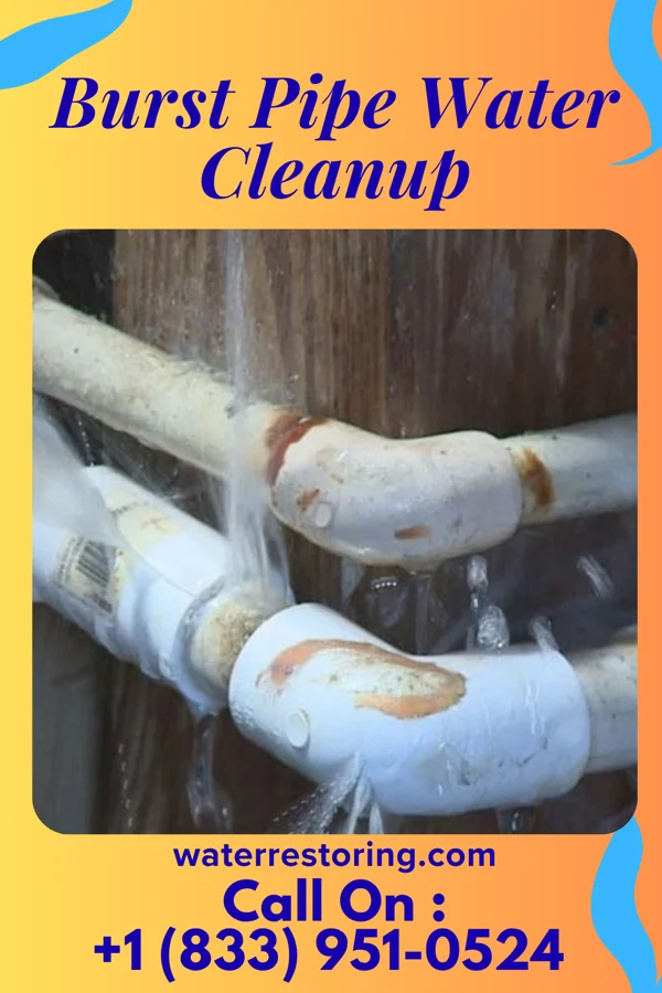Burst Pipe Water Cleanup in Sheffield, OH
